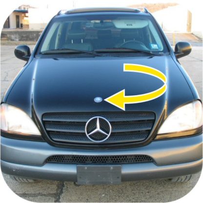Mercedes Emblem-10876