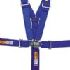 RCI Y Style 5 Point Racing Harness Seat Belt Harness-0